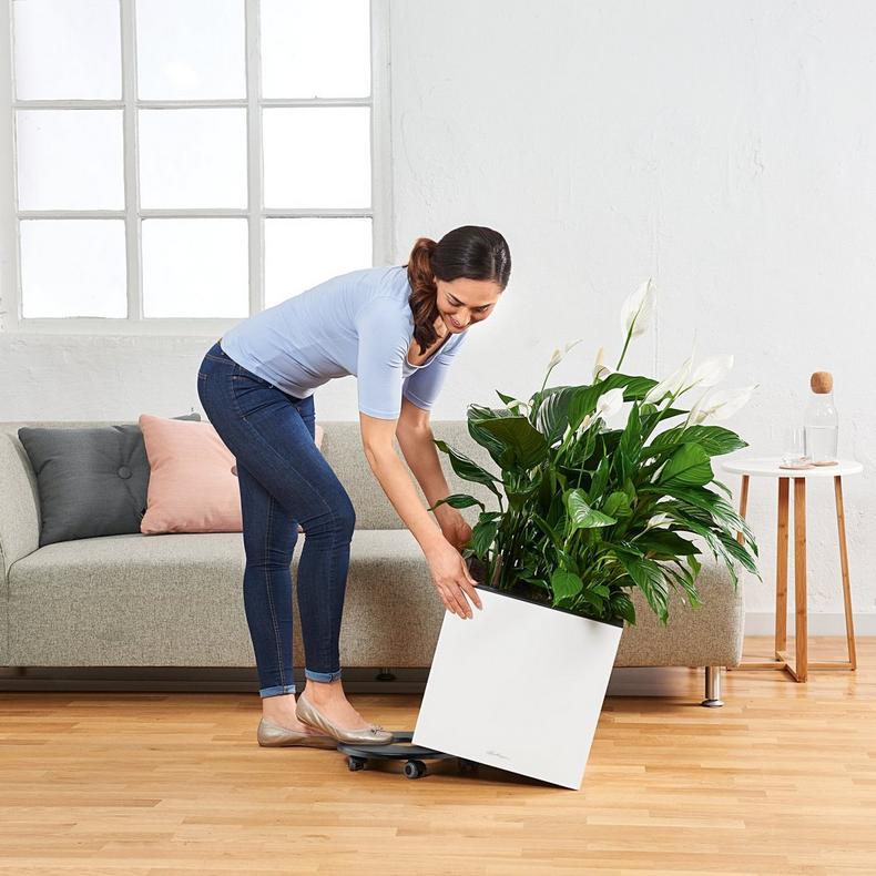 le_canto-wuerfel_product_addi_coaster